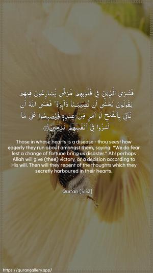Al-Maaida Ayah 52 - Arabic + English wallpaper