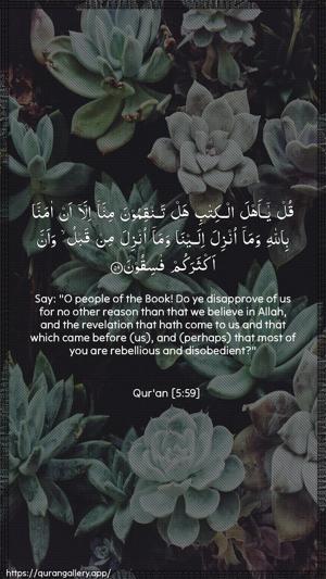 Al-Maaida Ayah 59 - Arabic + English wallpaper