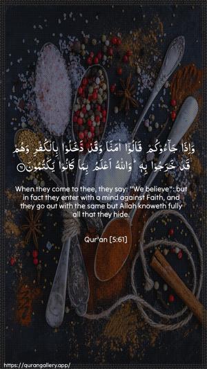 Al-Maaida Ayah 61 - Arabic + English wallpaper