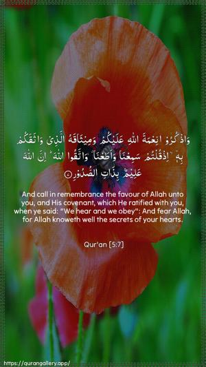 Al-Maaida Ayah 7 - Arabic + English wallpaper