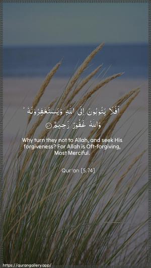 Al-Maaida Ayah 74 - Arabic + English wallpaper