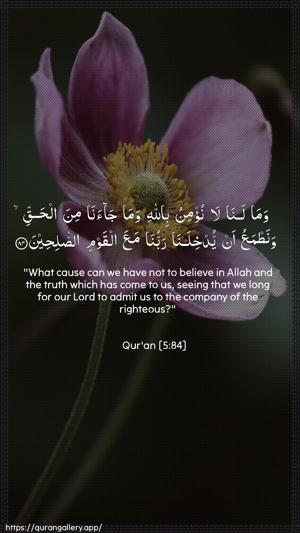 Al-Maaida Ayah 84 - Arabic + English wallpaper