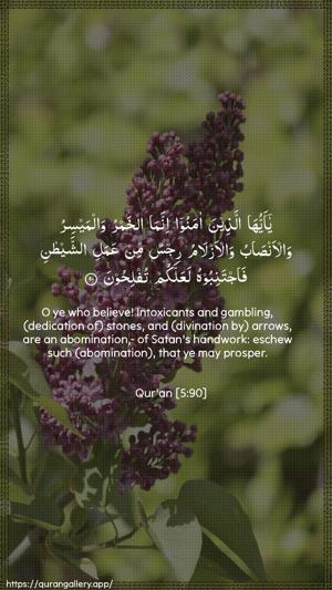 Al-Maaida Ayah 90 - Arabic + English wallpaper