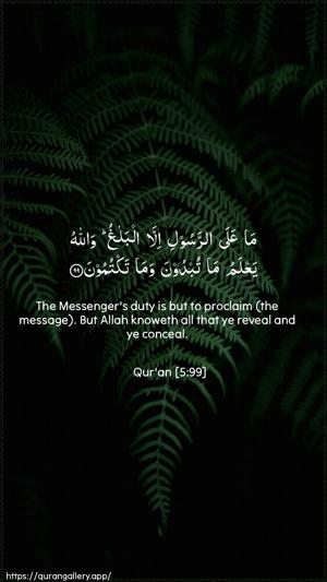 Al-Maaida Ayah 99 - Arabic + English wallpaper