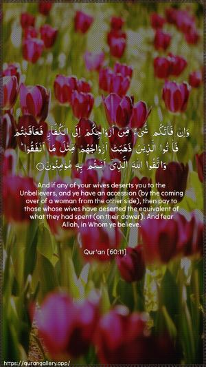 Al-Mumtahana Ayah 11 - Arabic + English wallpaper