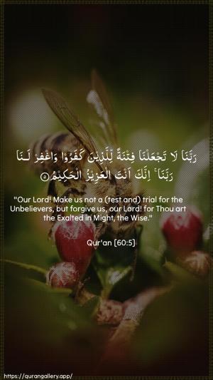 Al-Mumtahana Ayah 5 - Arabic + English wallpaper