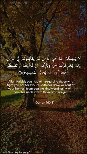 Al-Mumtahana Ayah 8 - Arabic + English wallpaper