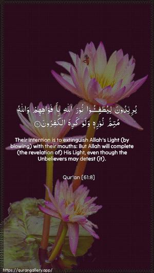 As-Saff Ayah 8 - Arabic + English wallpaper