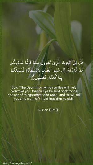 Al-Jumu"a Ayah 8 - Arabic + English wallpaper
