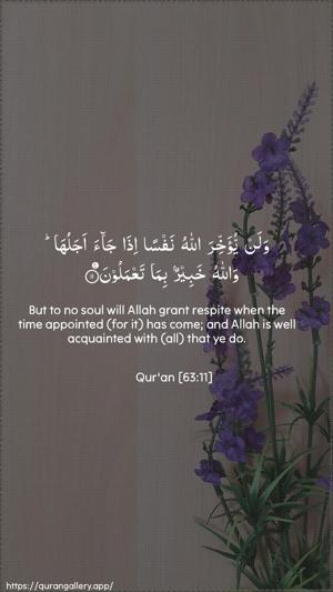 Al-Munaafiqoon Ayah 11 - Arabic + English wallpaper