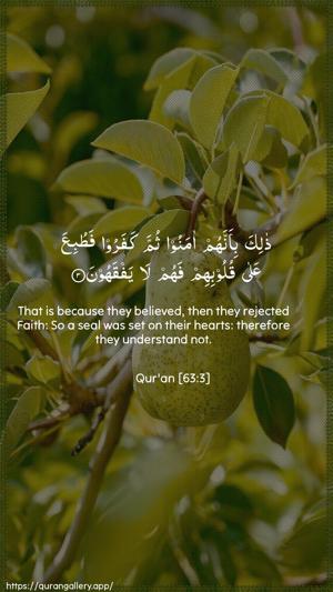 Al-Munaafiqoon Ayah 3 - Arabic + English wallpaper