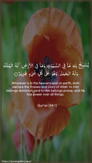 At-Taghaabun Ayah 1 - Arabic + English wallpaper