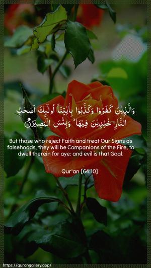 At-Taghaabun Ayah 10 - Arabic + English wallpaper