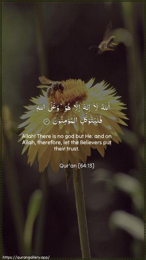 At-Taghaabun Ayah 13 - Arabic + English wallpaper