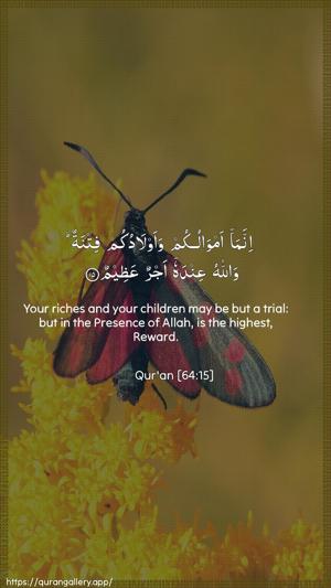 At-Taghaabun Ayah 15 - Arabic + English wallpaper