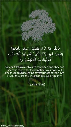 At-Taghaabun Ayah 16 - Arabic + English wallpaper