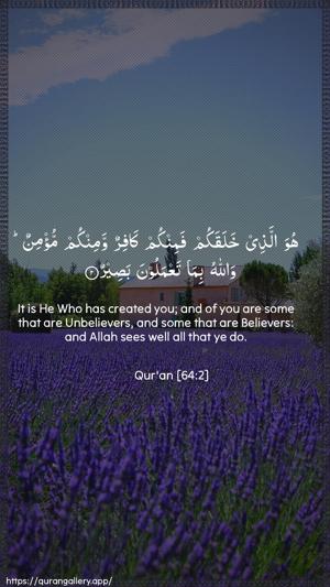 At-Taghaabun Ayah 2 - Arabic + English wallpaper