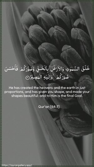 At-Taghaabun Ayah 3 - Arabic + English wallpaper