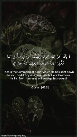 At-Talaaq Ayah 5 - Arabic + English wallpaper