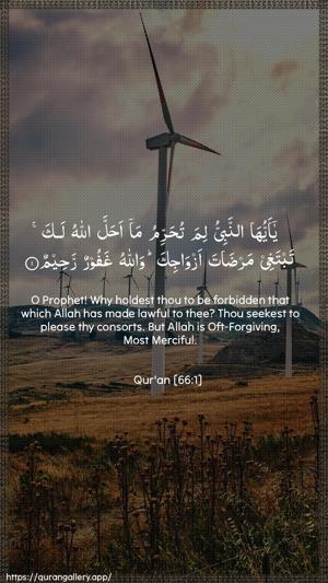 At-Tahrim Ayah 1 - Arabic + English wallpaper