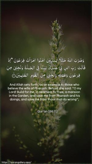At-Tahrim Ayah 11 - Arabic + English wallpaper