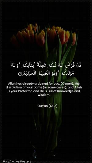 At-Tahrim Ayah 2 - Arabic + English wallpaper
