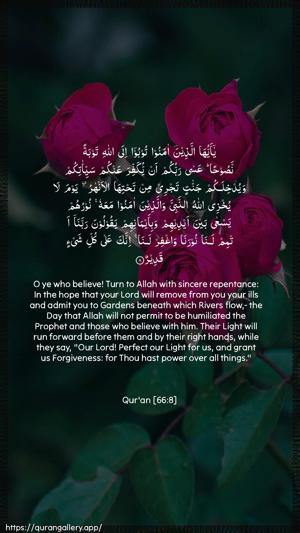At-Tahrim Ayah 8 - Arabic + English wallpaper