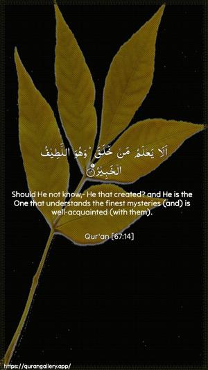 Al-Mulk Ayah 14 - Arabic + English wallpaper