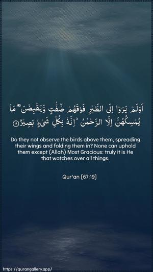 Al-Mulk Ayah 19 - Arabic + English wallpaper