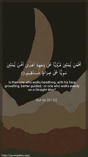 Al-Mulk Ayah 22 - Arabic + English wallpaper