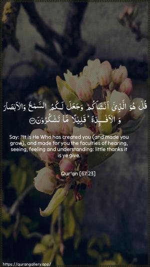 Al-Mulk Ayah 23 - Arabic + English wallpaper