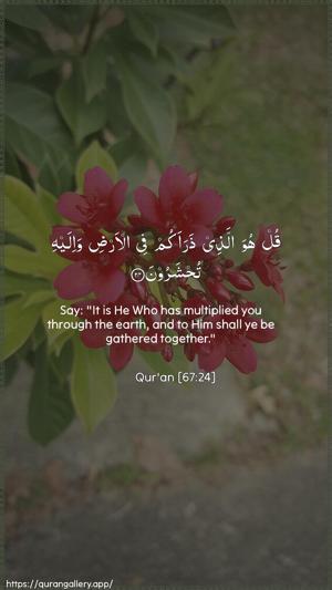 Al-Mulk Ayah 24 - Arabic + English wallpaper