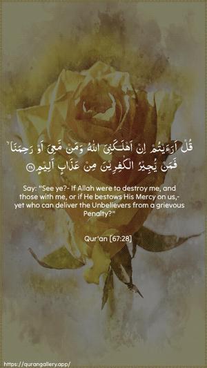 Al-Mulk Ayah 28 - Arabic + English wallpaper