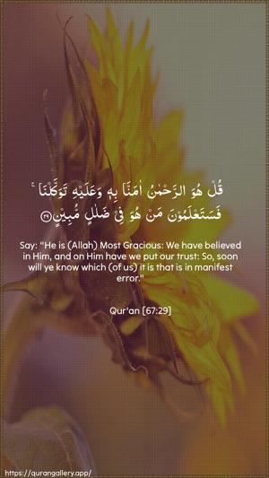 Al-Mulk Ayah 29 - Arabic + English wallpaper