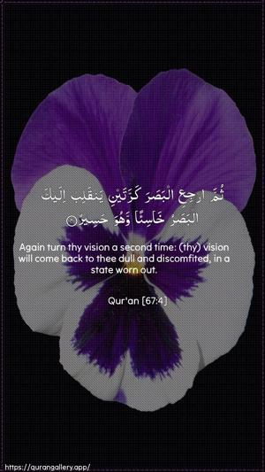 Al-Mulk Ayah 4 - Arabic + English wallpaper