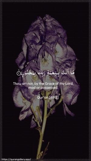 Al-Qalam Ayah 2 - Arabic + English wallpaper