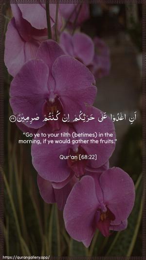 Al-Qalam Ayah 22 - Arabic + English wallpaper