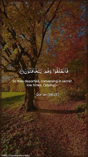 Al-Qalam Ayah 23 - Arabic + English wallpaper