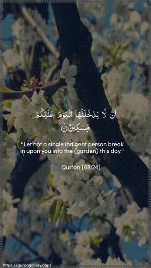 Al-Qalam Ayah 24 - Arabic + English wallpaper