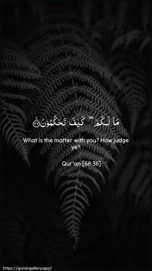 Al-Qalam Ayah 36 - Arabic + English wallpaper