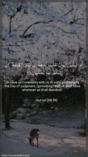 Al-Qalam Ayah 39 - Arabic + English wallpaper