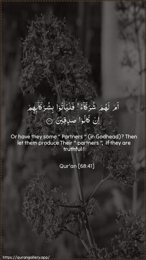 Al-Qalam Ayah 41 - Arabic + English wallpaper