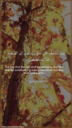 Al-Qalam Ayah 42 - Arabic + English wallpaper