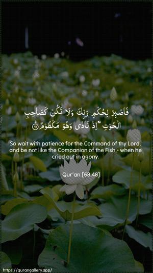 Al-Qalam Ayah 48 - Arabic + English wallpaper