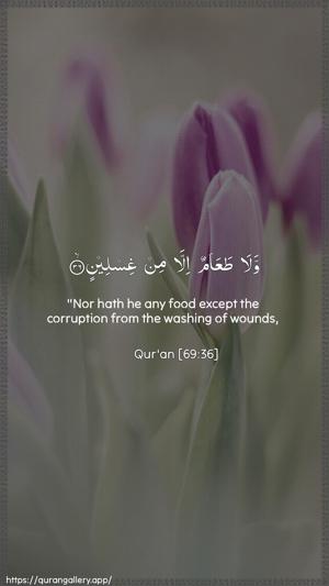 Al-Haaqqa Ayah 36 - Arabic + English wallpaper