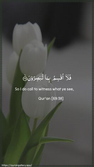 Al-Haaqqa Ayah 38 - Arabic + English wallpaper