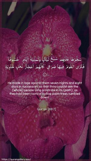 Al-Haaqqa Ayah 7 - Arabic + English wallpaper