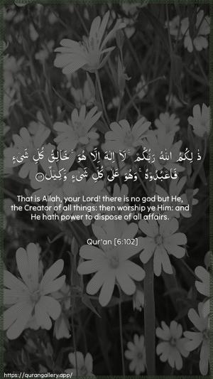 Al-An"aam Ayah 102 - Arabic + English wallpaper