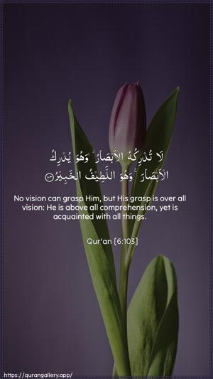 Al-An"aam Ayah 103 - Arabic + English wallpaper