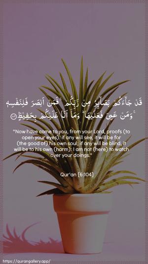 Al-An"aam Ayah 104 - Arabic + English wallpaper